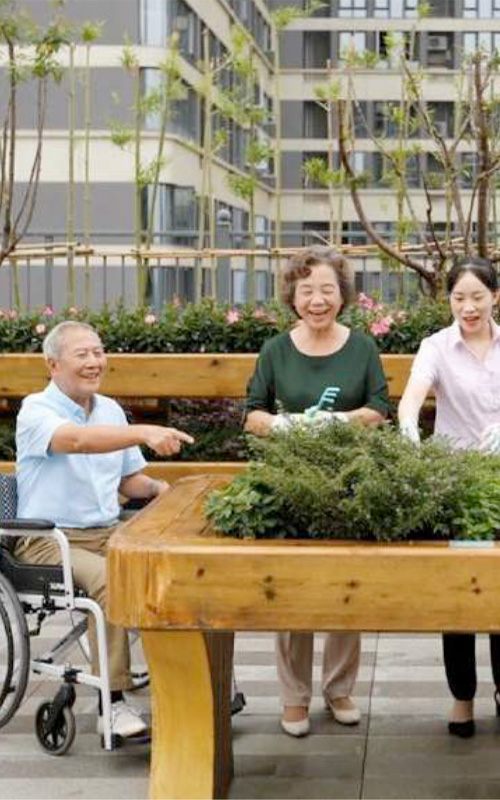 Venus Care Villages